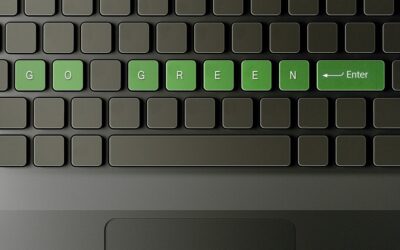 Save Money & the Earth Through a Green Business